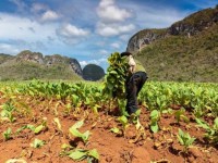 热点讨论！peel红酒爆珠多少钱一盒西安“南征北战”