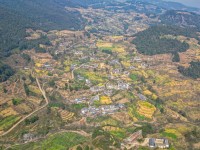 烟粮畜循环模式助农增收提质